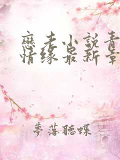 恋老小说青山界情缘最新章节更新内