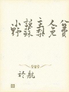 小说主人公闻绍野苏梨免费阅读