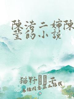 陈浩二婶陈丽陈莹的小说
