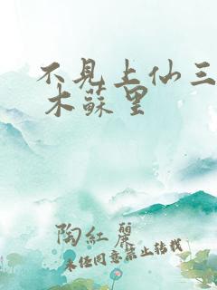 不见上仙三百年 木苏里