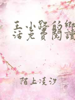 王小路的乡村生活免费阅读