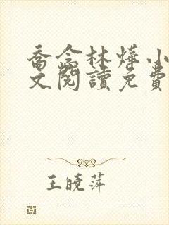 乔念林烨小说全文阅读免费