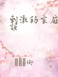 刺激的家庭乱小说