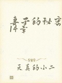 妻子的秘密 第14章