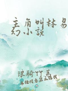 主角叫林易的玄幻小说