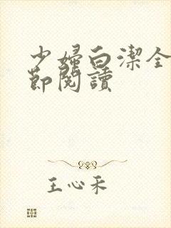 少妇白洁全文章节阅读