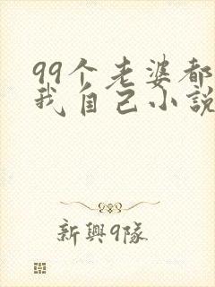 99个老婆都是我自己小说免费阅读