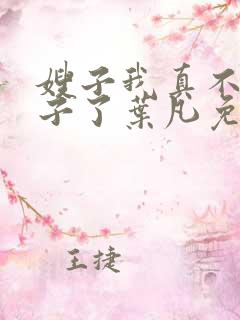 嫂子我真不是傻子了叶凡免费阅读全文小说