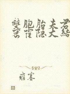 双胞胎夫君的秘密霍隐大结局