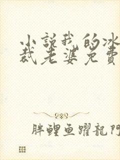 小说我的冰山总裁老婆免费阅读