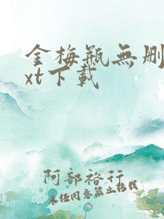 金梅瓶无删减txt下载