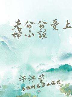 老公公爱上儿媳妇小说