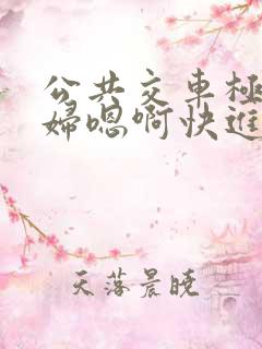 公共交车极品少妇嗯啊快进去小说