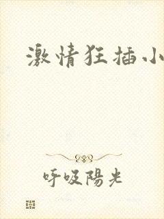 激情狂插小说