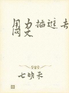 用力插进去小说网文