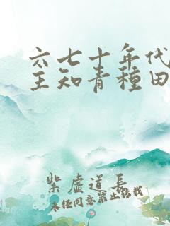 六七十年代双男主知青种田文