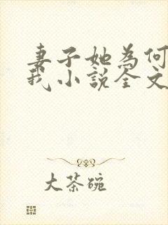 妻子她为何拒绝我小说全文阅读