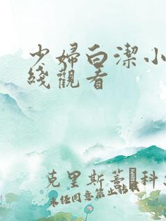 少妇白洁小说在线观看