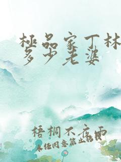 极品家丁林三有多少老婆
