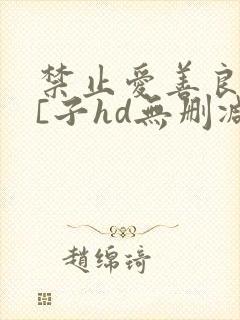 禁止爱善良的小[子hd无删减播放