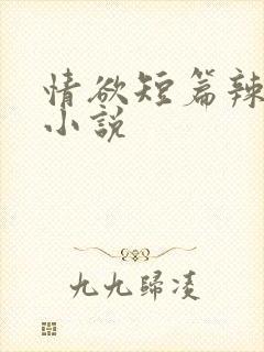情欲短篇辣文肉小说