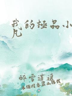 我的极品小姨叶凡