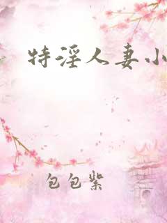 特淫人妻小说