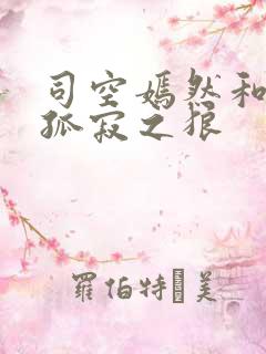 司空嫣然和叶凡孤寂之狼