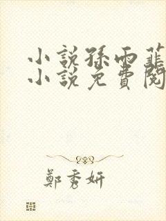 小说孙雨菲主角小说免费阅读全文