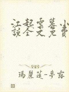 江起云慕小乔小说全文免费阅读