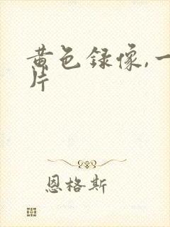 黄色录像,一级片