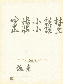 官场小说林飞扬正版小说免费阅读