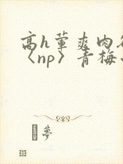 高h荤爽肉欲文〈np〉青梅小说