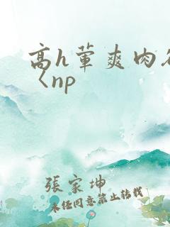 高h荤爽肉欲文〈np