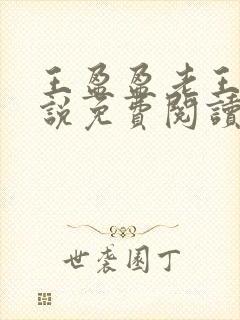 王盈盈老王的小说免费阅读全文