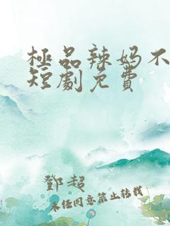 极品辣妈不好惹短剧免费