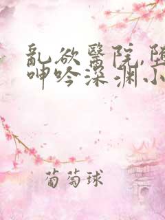 乱欲医院,堕入呻吟深渊小说