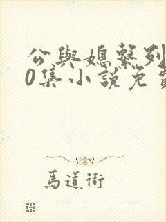 公与媳系列100集小说免费阅读