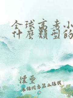 全球高考小说是什么类型的