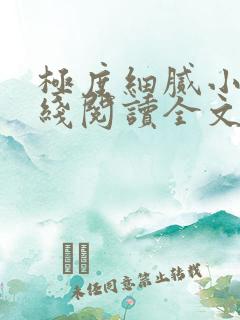极度细腻小说在线阅读全文