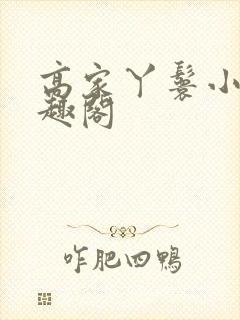 高家丫鬟小说笔趣阁