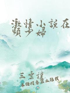 激情小说在线视频少妇