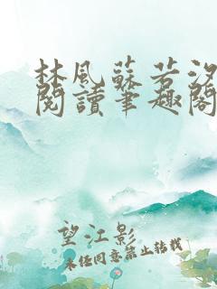 林风苏若汐免费阅读笔趣阁
