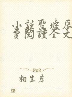 小说圣墟辰东免费阅读全文无窗口