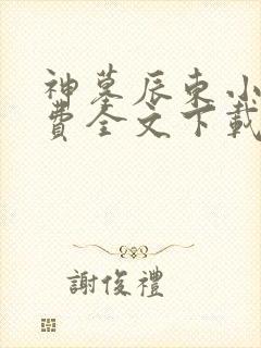 神墓辰东小说免费全文下载
