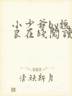 小少爷by魏丛良在线阅读