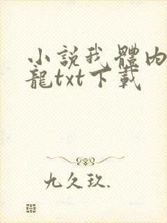 小说我体内有条龙txt下载