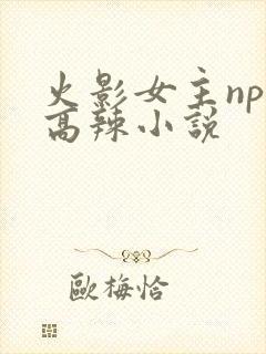 火影女主np的高辣小说