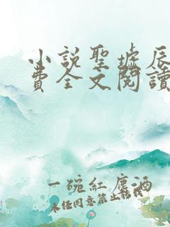 小说圣墟辰东免费全文阅读一