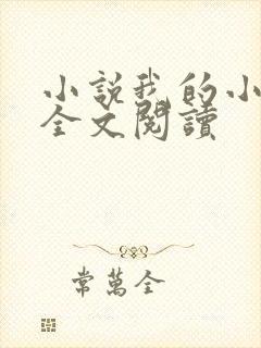 小说我的小后妈全文阅读